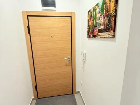 Izdavanje, jednosoban stan, 47m², Salajka, Novi Sad Sve Podlokacije - image 20