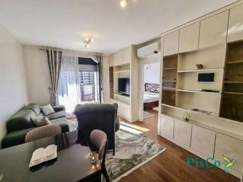 Izdavanje, jednosoban stan, 46m2, Tološka šuma, Podgorica