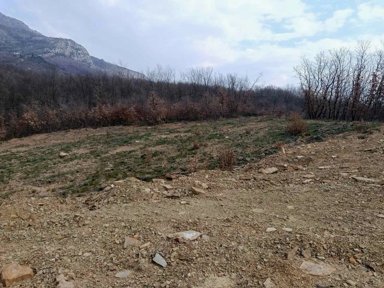 Prodaja, plac, 8000m², Piperi, Podgorica