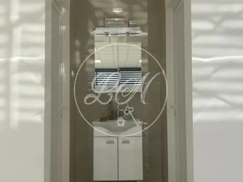 Izdavanje, poslovni prostor, 228m², Altina, Beograd - image 5