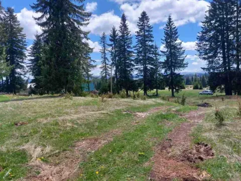 Prodaja, plac, 17500m², Žabljak, Crna Gora - image 7