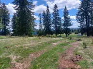 Prodaja, plac, 17500m², Žabljak, Crna Gora - image 7