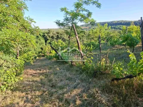 Prodaja, plac, 1800m², Grocka, Beograd - image 8