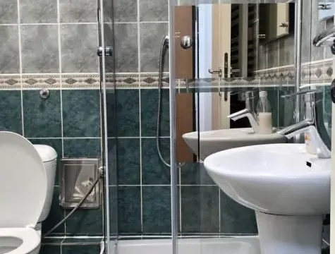 Izdavanje, garsonjera, 30m², Sajmište, Novi Sad - image 15