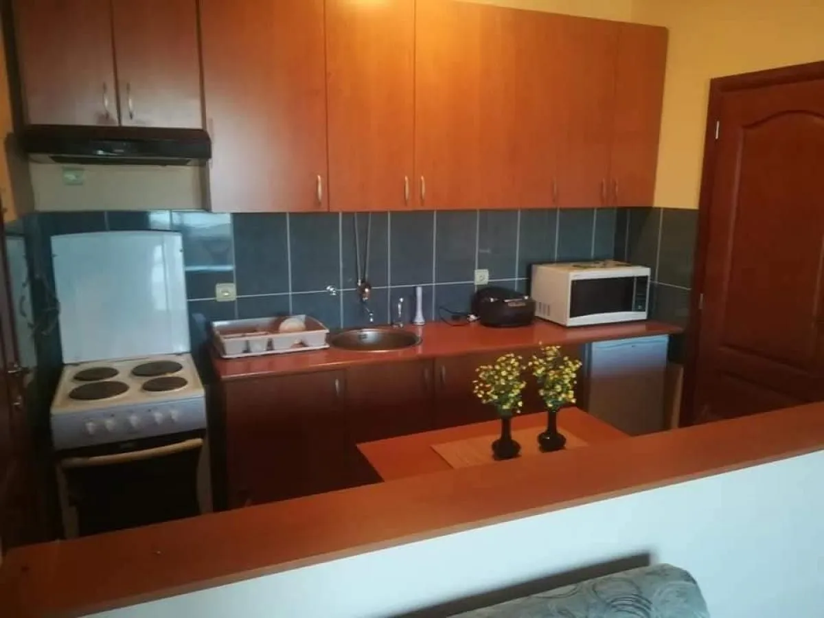 Izdavanje, dvosoban stan, 52m², Bulevar Oslobodjenja, Novi Sad Sve Podlokacije