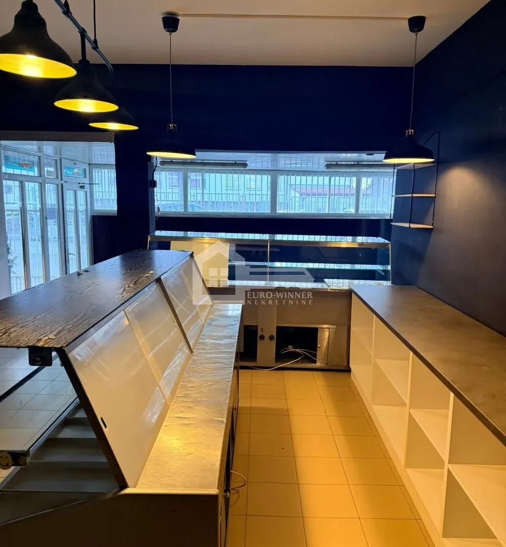 Izdavanje, poslovni prostor, 65m², Sremčica, Beograd