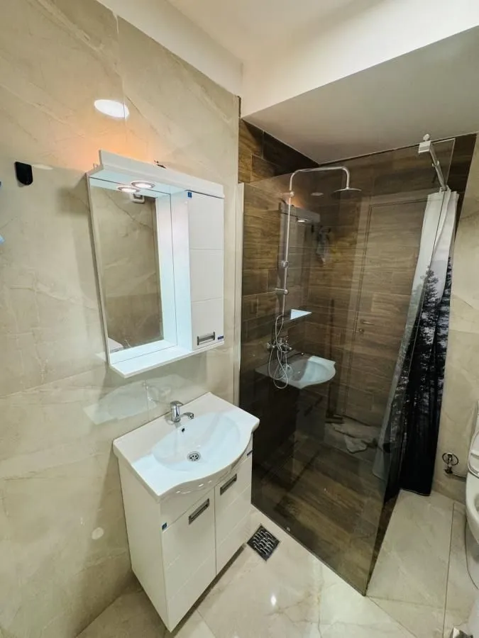 Izdavanje, jednosoban stan, 50m², Palilula, Niš