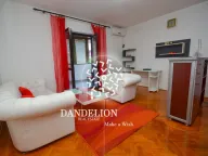 Izdavanje, jednosoban stan, 48m², Malo Brdo, Podgorica - image 10