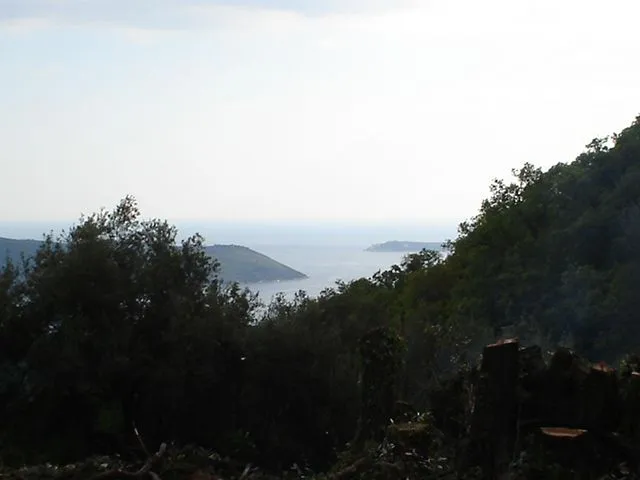 Pogled na more i okolna brda kroz drveće.