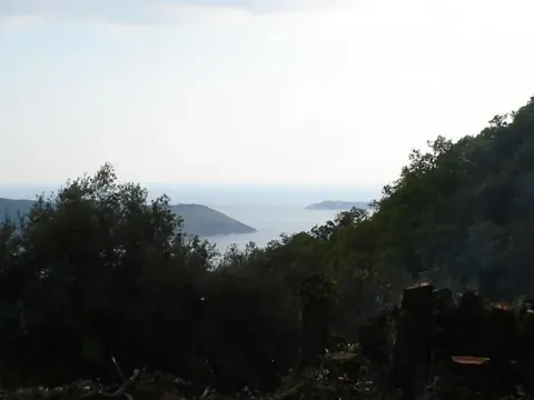 Pogled na more i okolna brda kroz drveće. - image 7