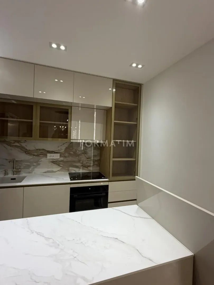 Modern kitchen with built-in cabinetry and a countertop.