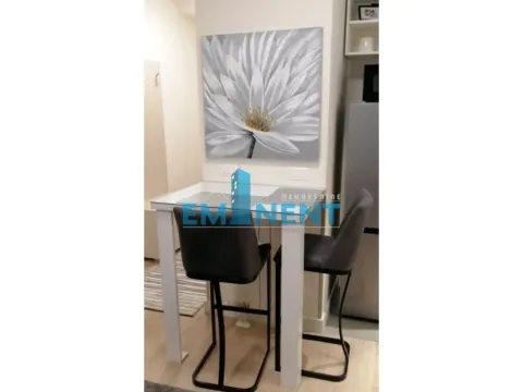 Rent, apartment, 28m², Savski Venac, Beograd - image 3