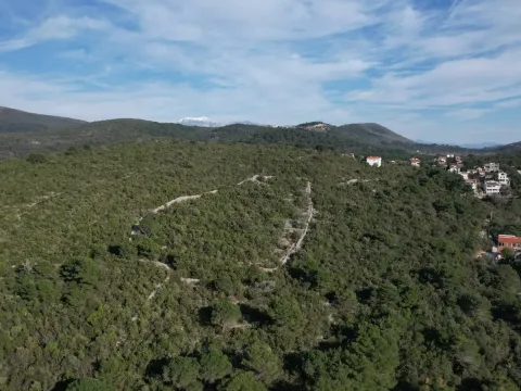 Prodaja, plac, 6500m², Luštica, Herceg Novi - image 2