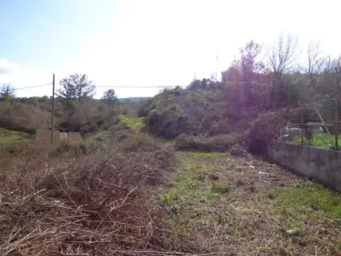 Pogled na zemljište sa rastinjem i ogradom. - image 10