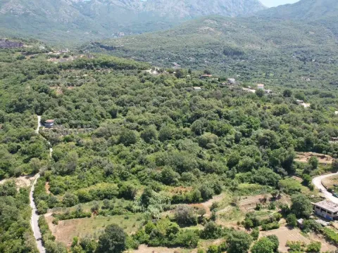 Prodaja, plac, 3000m², Radanovići, Kotor - image 24