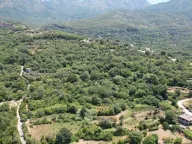 Sale, land lot, 3000m², Radanovići, Kotor - image 24