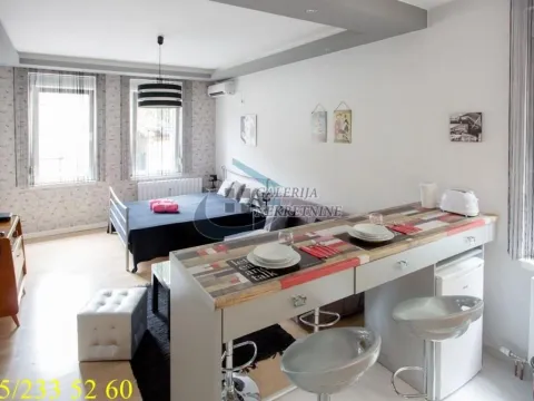 Rent, one bedroom apartment, 35m², Botanička Bašta, Palilula Sve Podlokacije - image 4