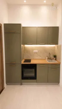 Moderna kuhinja sa zelenim elementima i ugradnim aparatima. - image 3