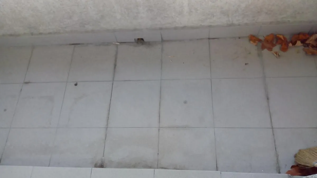 Izdavanje, dvosoban stan, 50m², Nova Detelinara, Novi Sad Sve Podlokacije