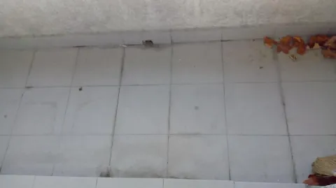 Izdavanje, dvosoban stan, 50m², Nova Detelinara, Novi Sad Sve Podlokacije - image 10