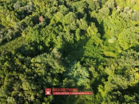 Sale, land lot, 9318m², Pelinovo, Kotor - image 3