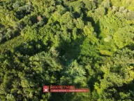 Prodaja, plac, 9318m², Pelinovo, Kotor - image 3