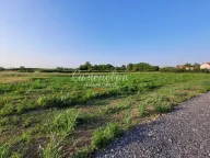 Prodaja, plac, Jakovo, Surčin - image 19