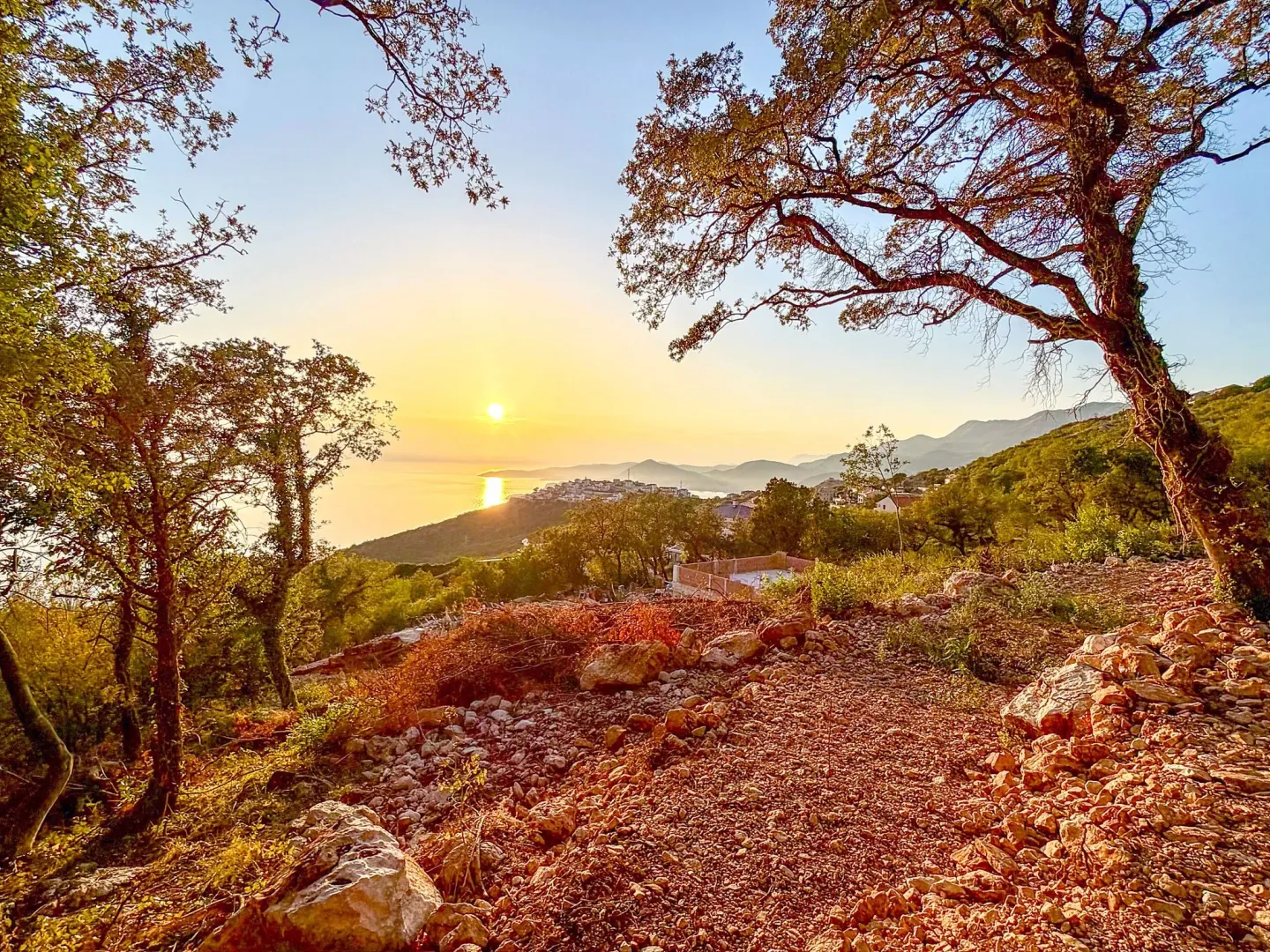 Prelijep pogled na zalazak sunca i more kroz drveće sa prizemlja.