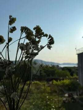 Prodaja, garsonjera, 27m², Tivat, Crna Gora - image 4