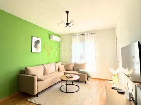 Izdavanje, stan, 45m², Zabjelo, Podgorica - image 3