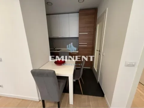 Izdavanje, dvosoban stan, 55m², Novi Beograd Blok 65, Novi Beograd Sve Podlokacije - image 4