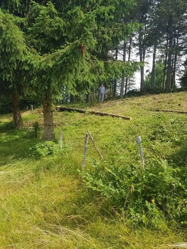 Prodaja, plac, 208m², Kolašin, Crna Gora