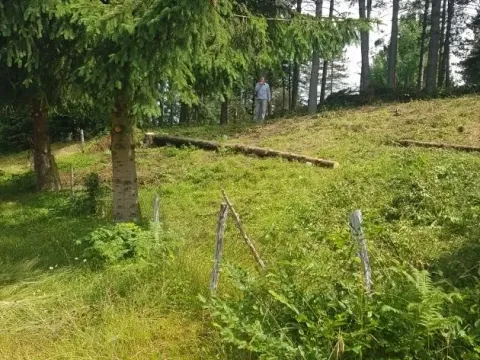 Prodaja, plac, 208m², Kolašin, Crna Gora - image 4