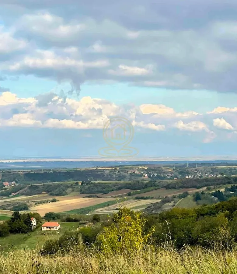 Prodaja, plac, 2500m², Sremska Kamenica, Petrovaradin