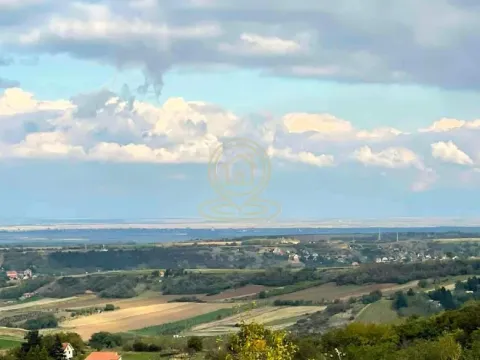 Prodaja, plac, 2500m², Sremska Kamenica, Petrovaradin - image 3