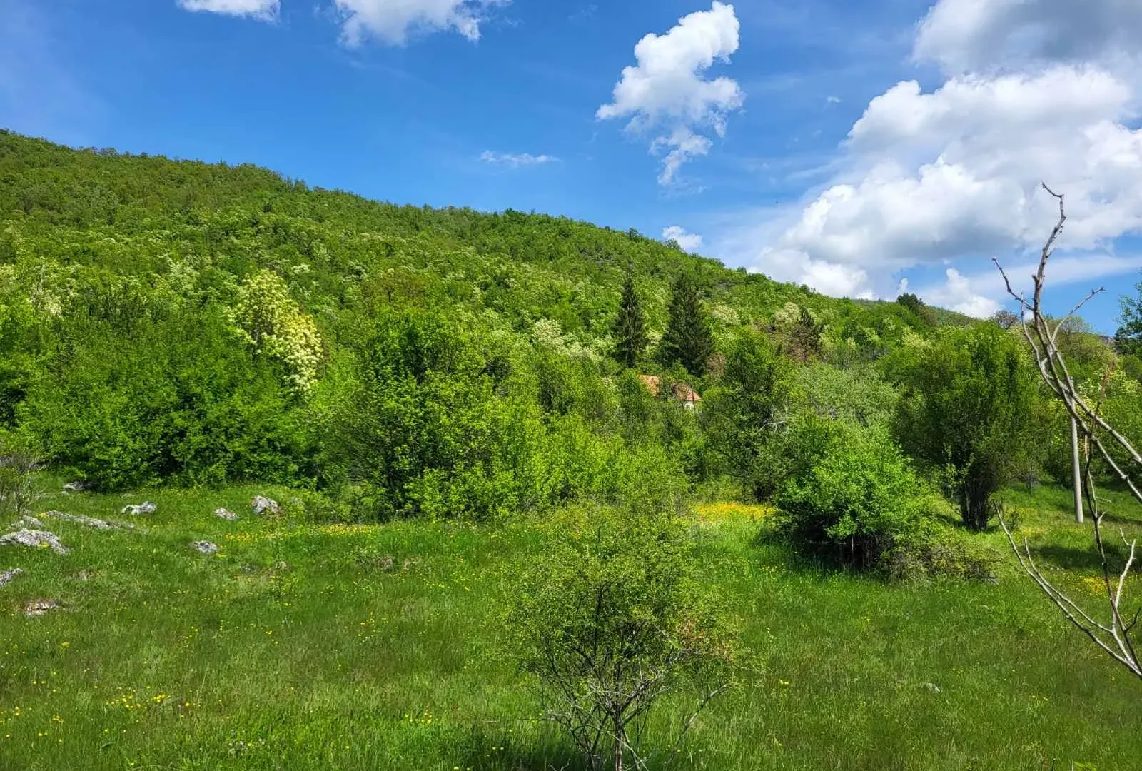 Prodaja, plac, 160000m², Nikšić, Crna Gora
