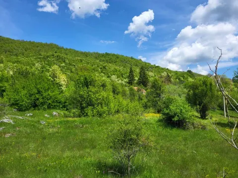 Sale, land lot, 160000m², Nikšić, Crna Gora - image 10