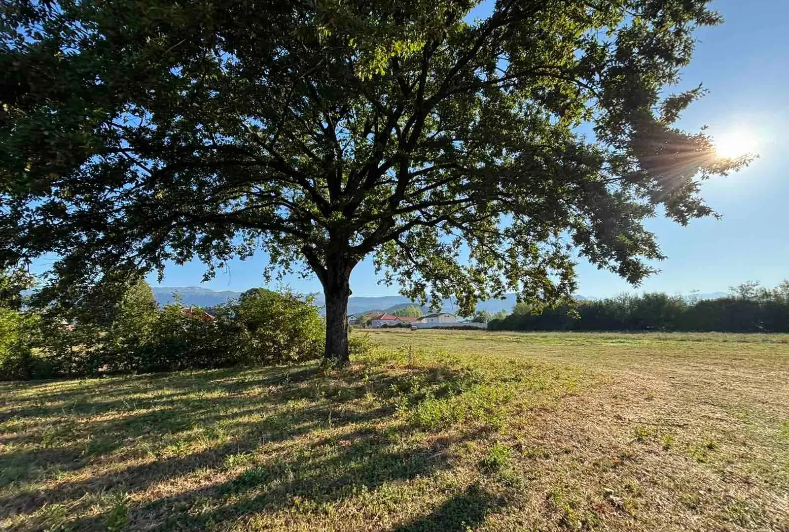 Prodaja, plac, 17168m², Novo Selo, Danilovgrad