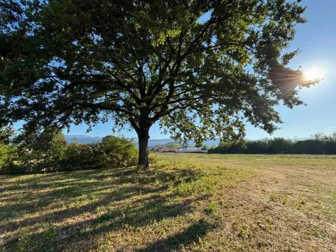 Prodaja, plac, 17168m², Novo Selo, Danilovgrad - image 17