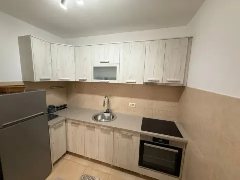 Izdavanje, jednosoban stan, 45m², Stari Aerodrom, Podgorica - image 3
