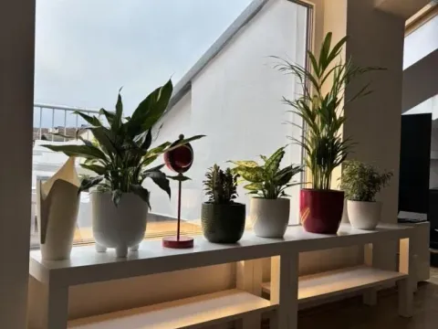 Izdavanje, dvosoban stan, 54m², Centar, Novi Sad - image 12