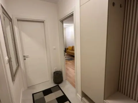 Izdavanje, jednosoban stan, 47m², Central Point, Podgorica - image 2