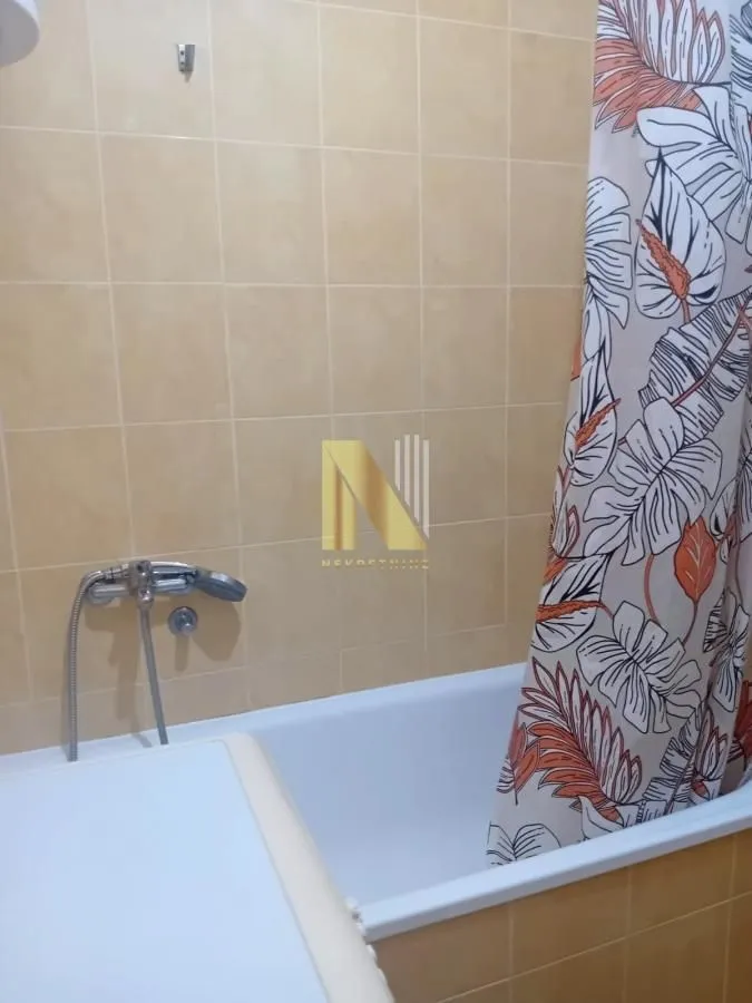 Izdavanje, dvosoban stan, 45m², Centar, Novi Sad