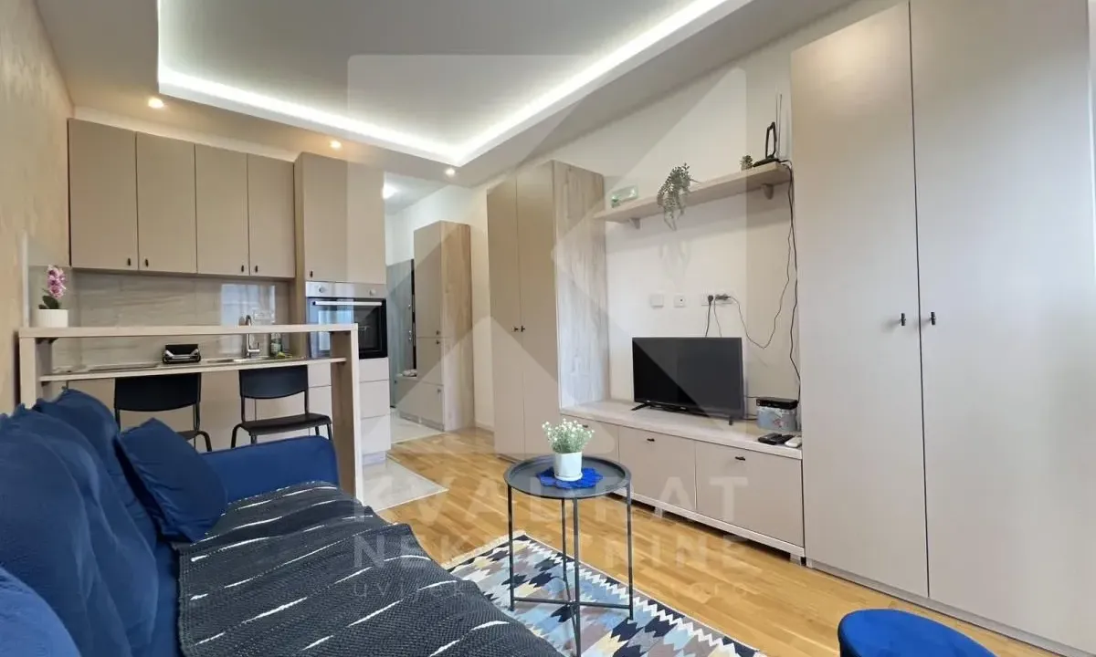 Rent, studio apartment, 20m², Zabjelo, Podgorica