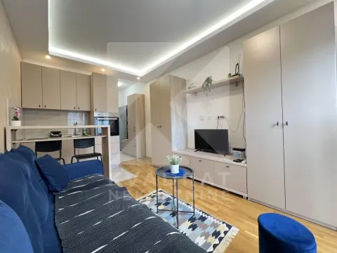 Rent, studio apartment, 20m², Zabjelo, Podgorica - image 1