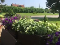 Prodaja, plac, 196m², Murgaš, Ub - image 10