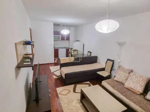 Izdavanje, jednosoban stan, 45m², Stari Aerodrom, Podgorica