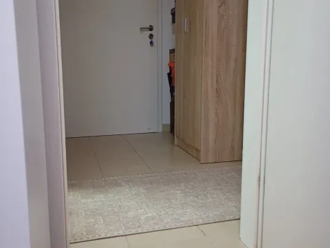 Rent, one bedroom apartment, 52m², Zabjelo, Podgorica - image 7