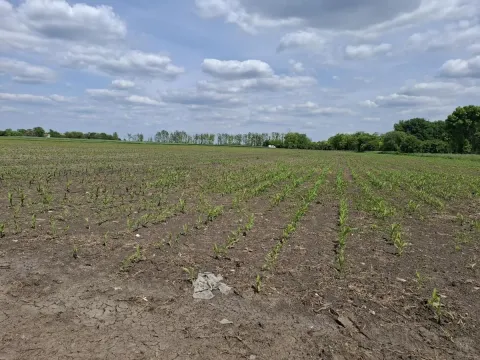 Sale, land lot, 268m², Čenej, Novi Sad Sve Podlokacije