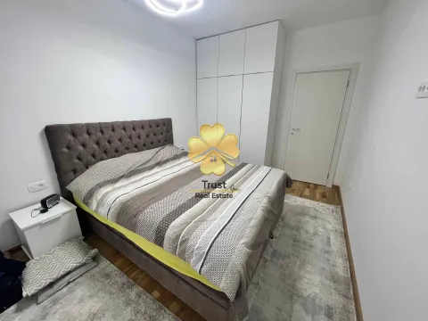 Rent, one bedroom apartment, 48m², Stari Aerodrom, Podgorica - image 7